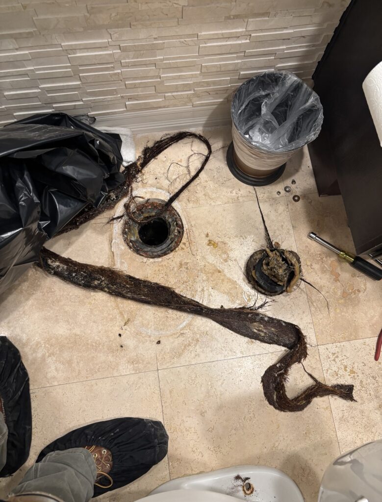 Tree roots removed while clearing a residential drain line